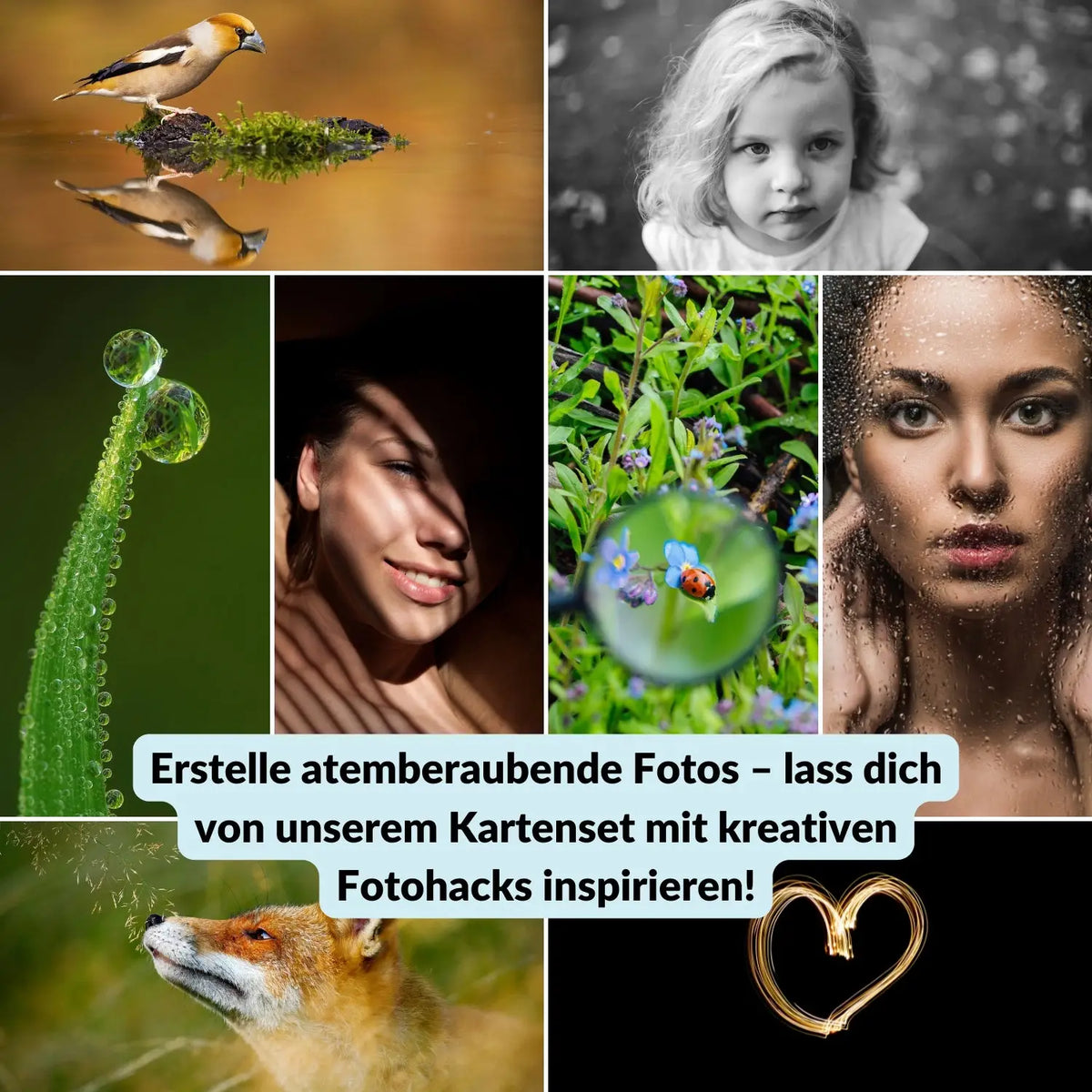 INSPIRACLES – Creative photo challenges for new perspectives - Camera & Photo > Camera Accessories Camera Cleaning