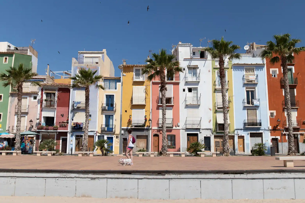 Mehrfarbiges Apartment-Komplex am Strand mit Palmen und einem Betonweg.