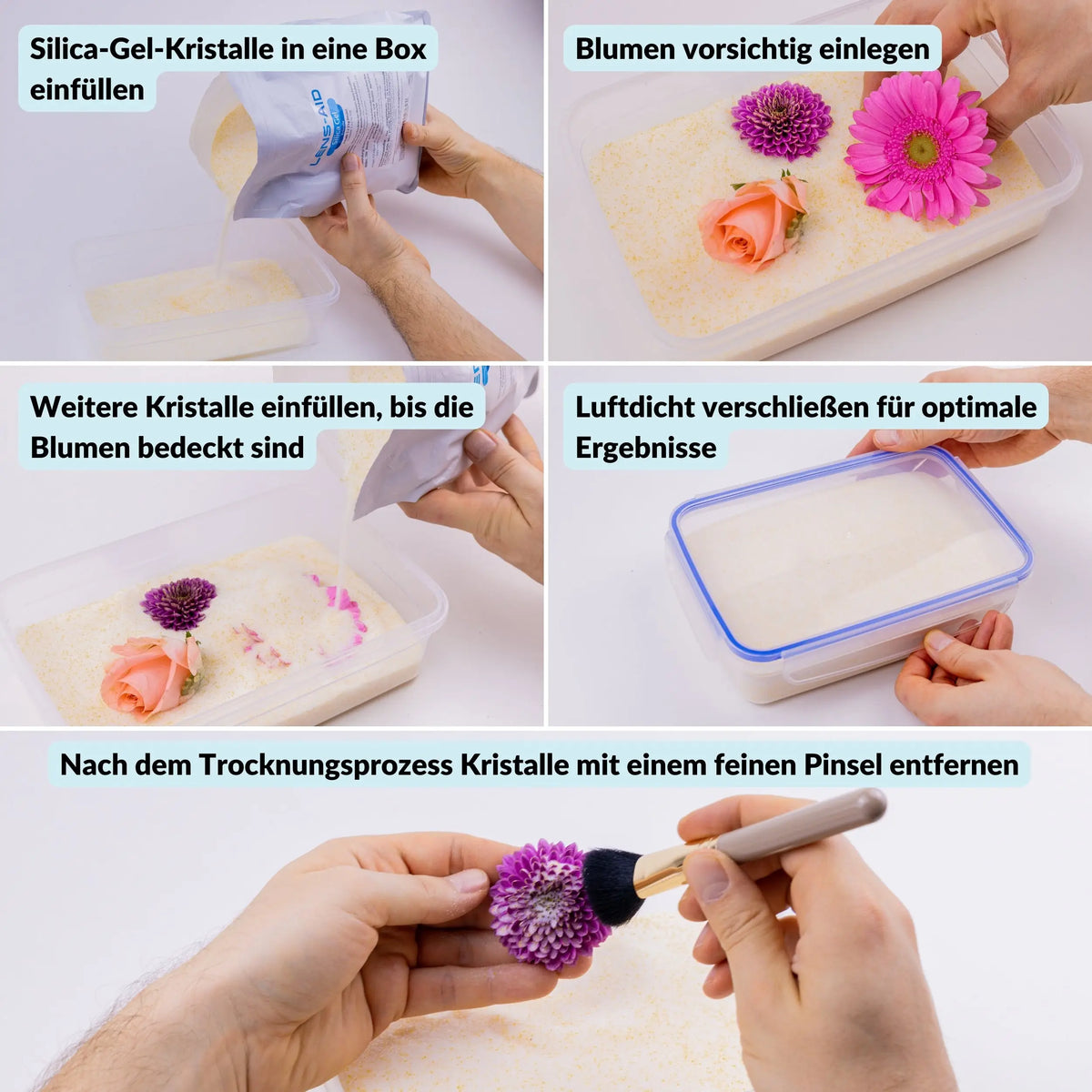 Gel de silice pour le séchage des fleurs - poudre fine avec indicateur de couleur